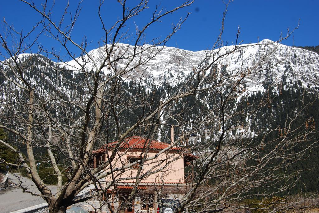 Dryades Guesthouse Ano Chora Esterno foto